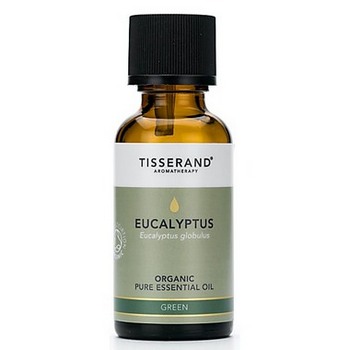 Eucalyptus Organic 20ml